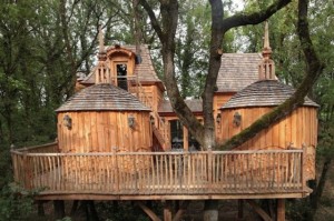 The-Coolest-Tree-House-1